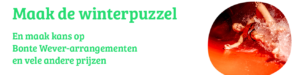 Winterpuzzel Univé Noord-Nederland
